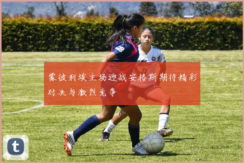 蒙彼利埃主场迎战安格斯期待精彩对决与激烈竞争