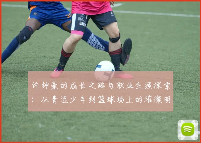 许钟豪的成长之路与职业生涯探索：从青涩少年到篮球场上的璀璨明星