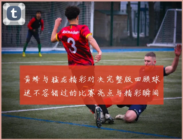 黄蜂与猛龙精彩对决完整版回顾球迷不容错过的比赛亮点与精彩瞬间